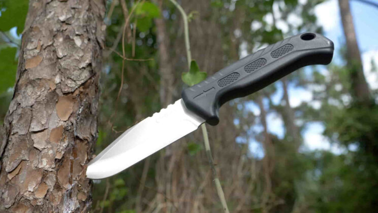 Clip Point Fixed Blade Knife: A Versatile Kitchen Essential
