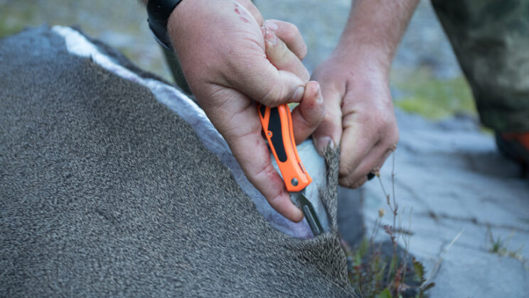 Fixed Blade Knife for Hiking: Choosing the Right Tool for Your Adventures