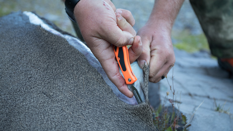 Fixed blade knife for hiking