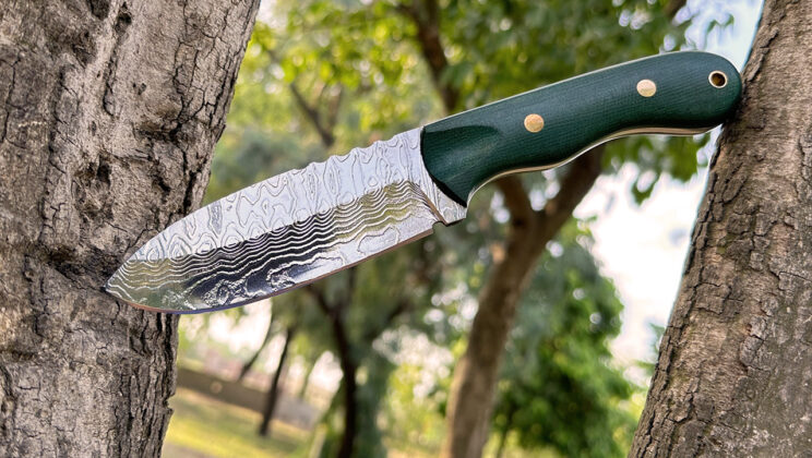 Blade Coating Benefits For Kitchen Professionals