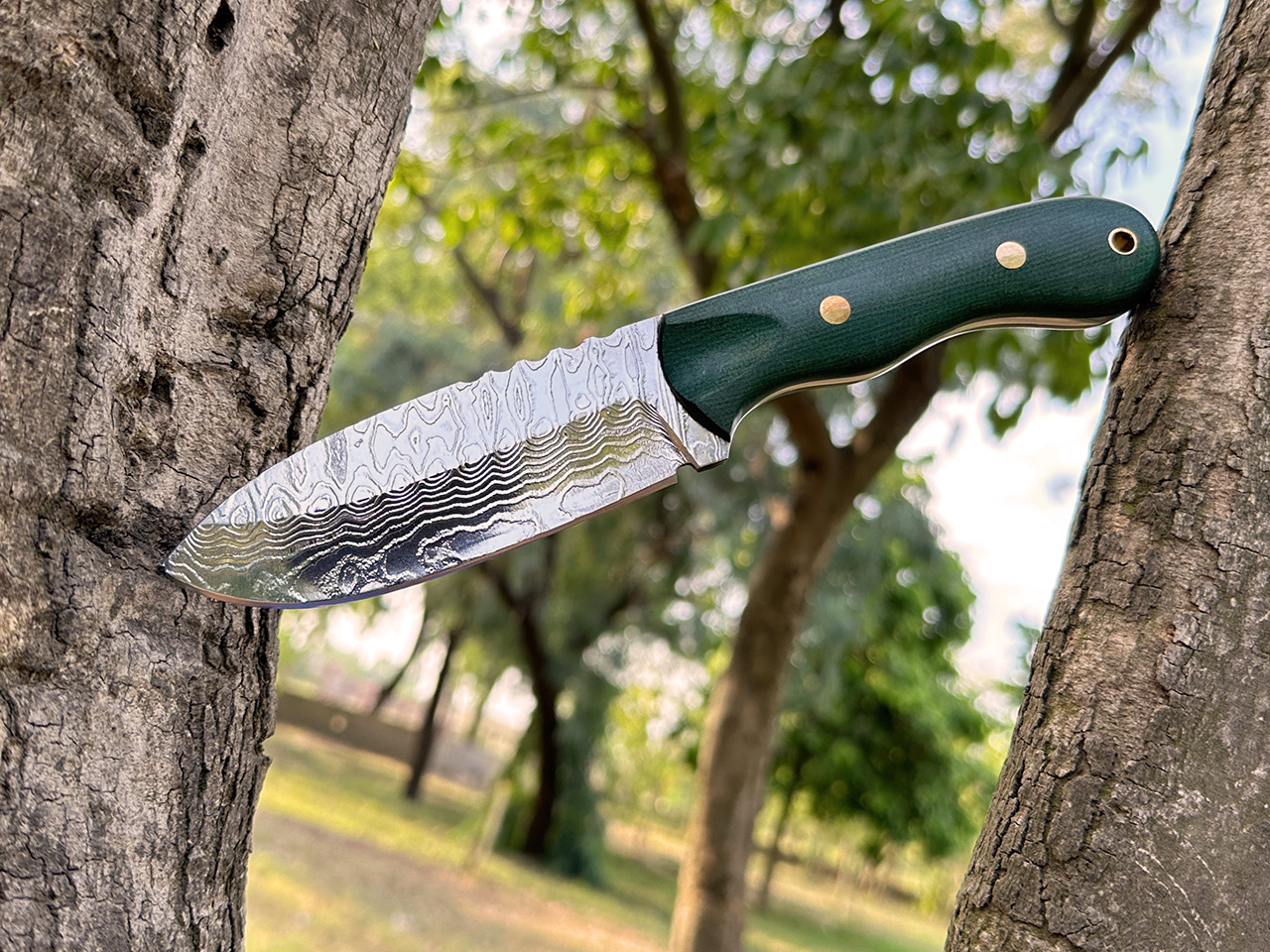 Bone handle fixed blade knife