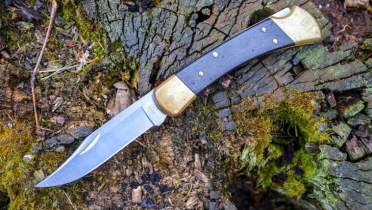 Knife Maintenance Mistakes Every Kitchen Pro Should Avoid