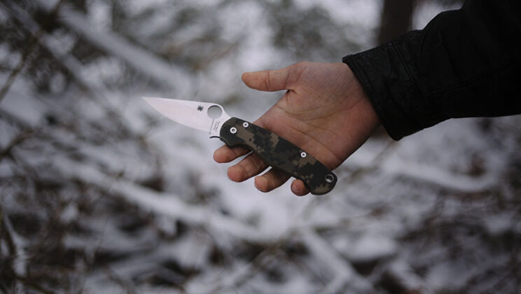 Lockback vs Liner Lock: A Detailed Comparison for Knife Enthusiasts