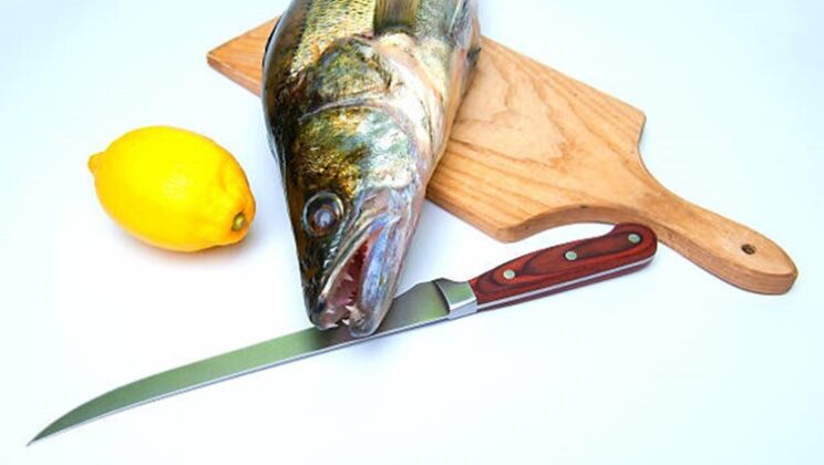 Types of Boning Knives: A Guide for Your Kitchen