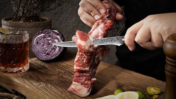 Best Boning Knife for Beginners: A Complete Guide